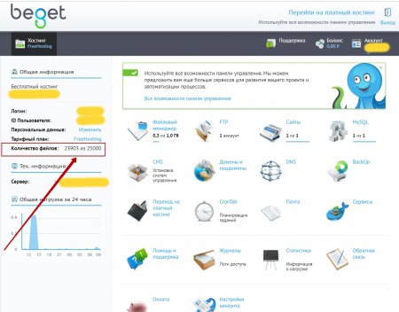 Лимит файлов на бесплатном хостинге - картинка